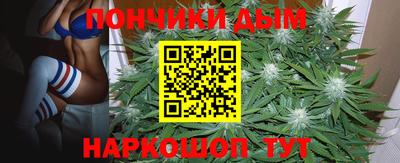 бошки Будённовск