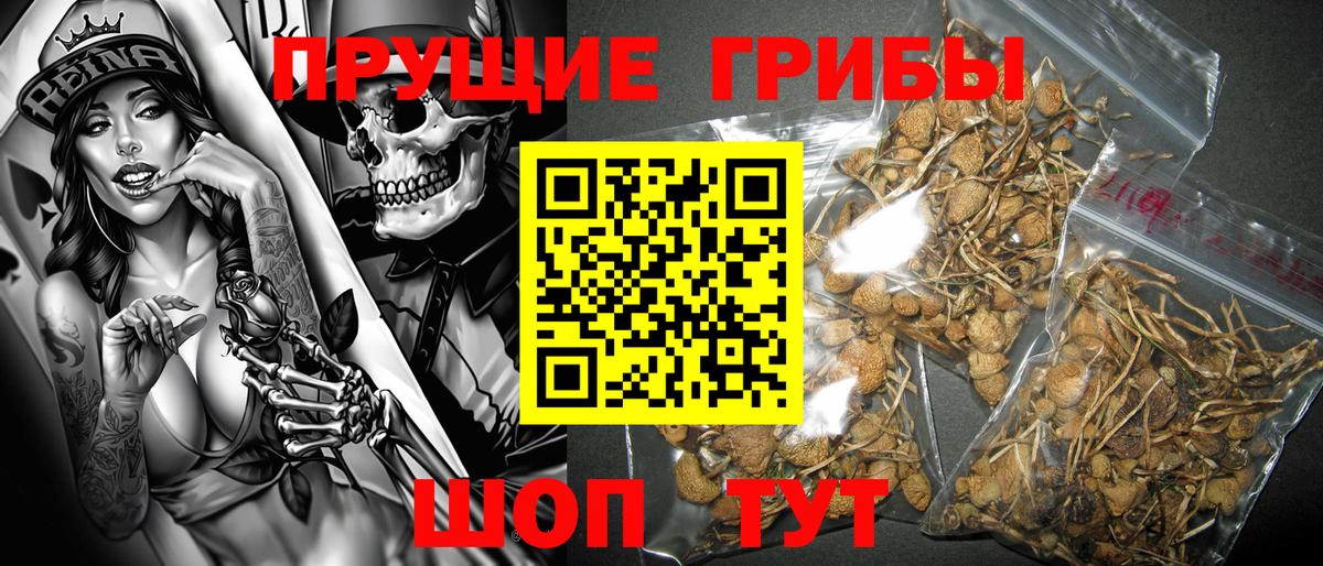Галлюциногенные грибы мицелий Краснознаменск